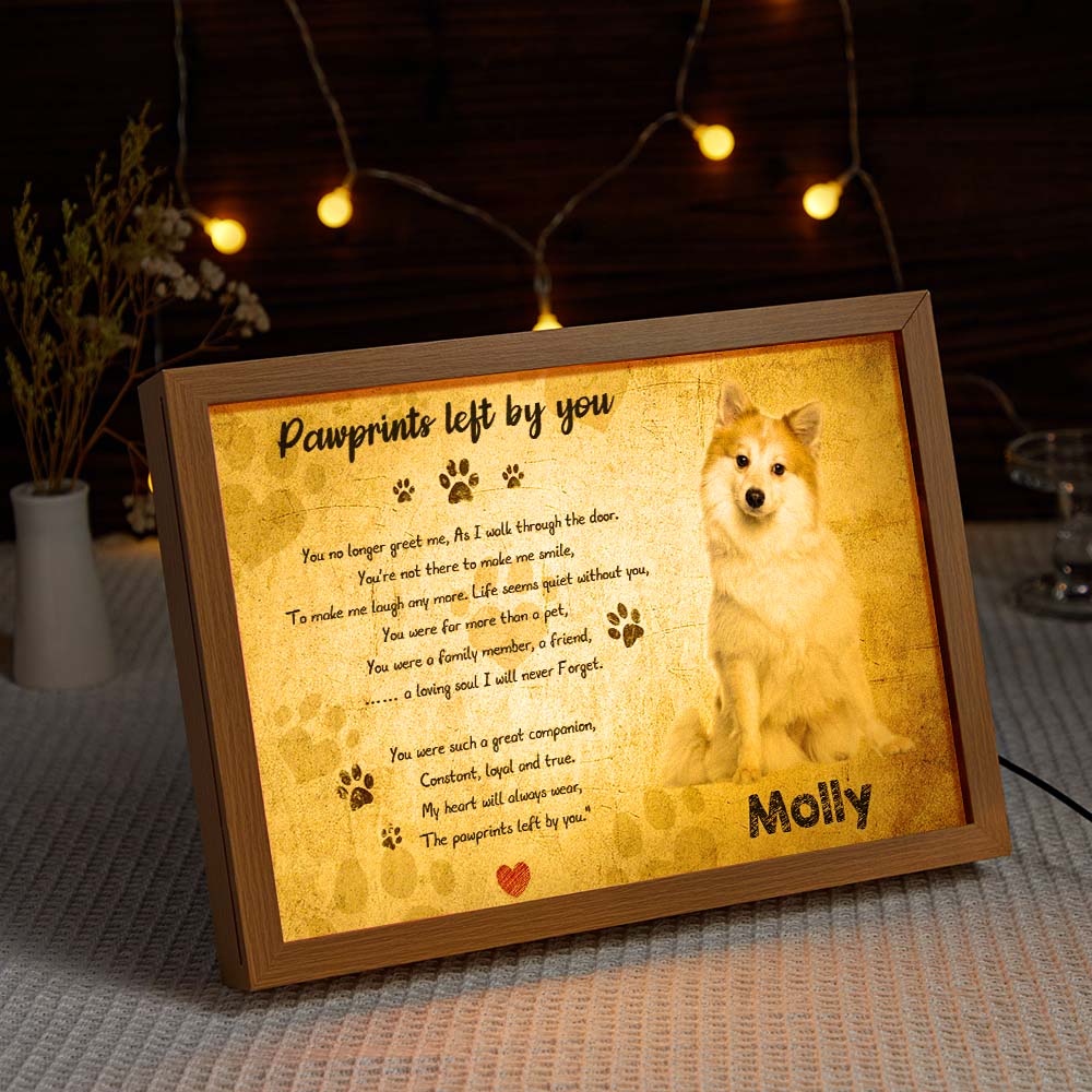 Custom Photo and Name Lamp Memorial Gifts For Dogs Personalized Light Christmas Gift