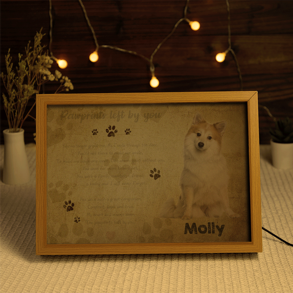 Custom Photo and Name Lamp Memorial Gifts For Dogs Personalized Light Christmas Gift