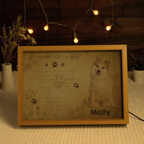 Custom Photo and Name Lamp Memorial Gifts For Dogs Personalized Light Christmas Gift - photomoonlampau